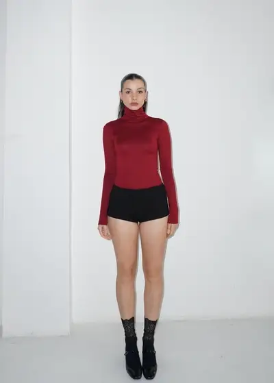 Daily Turtle — imagen 1