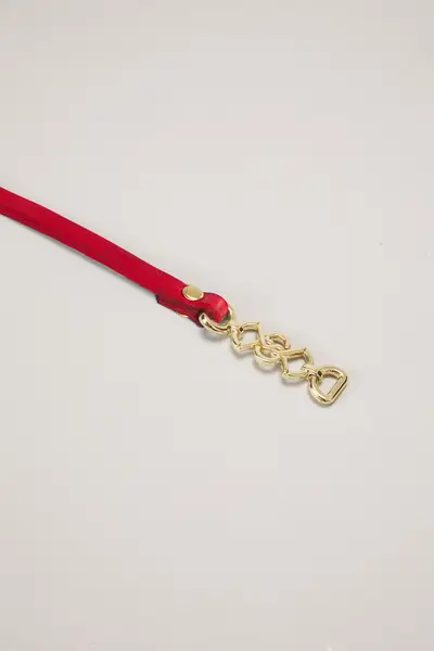 Cinturon Tiny Endless — imagen 3