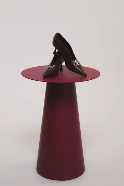 Zapato Everlong — imagen 2